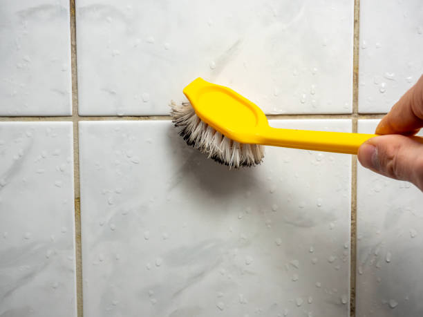 Best Water Damage Restoration  in Silver Creek, NY