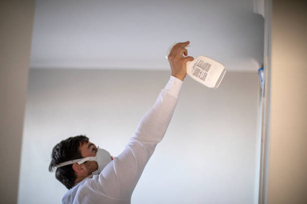 Best Best Mold Removal Companies  in Silver Creek, NY